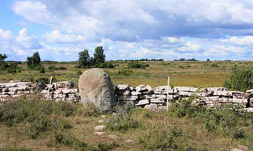 Foto: Stefan Svenaeus