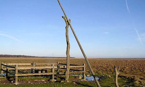 Foto: Stefan Svenaeus (den tidigare vippan)