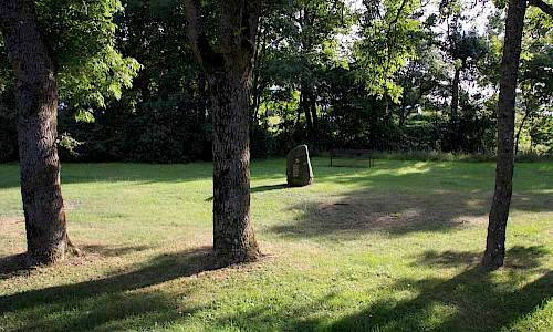 Foto: Stefan Svenaeus