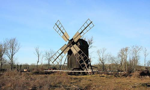 Foto: Stefan Svenaeus 2013