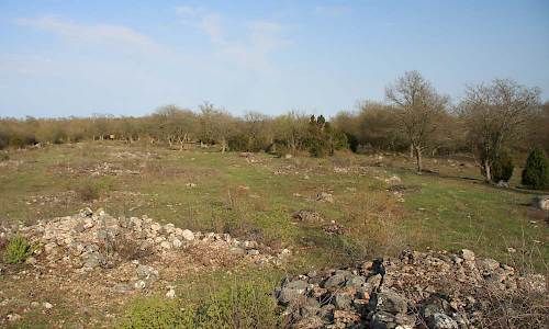 Foto: Stefan Svenaeus