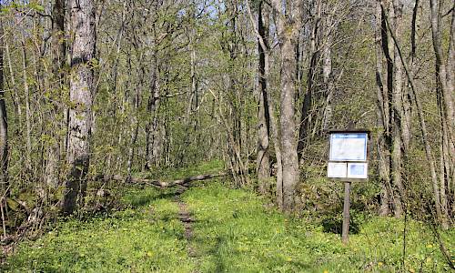 Foto: Stefan Svenaeus