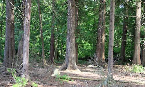 Foto: Stefan Svenaeus