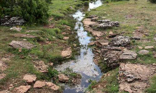 Foto: Stefan Svenaeus
