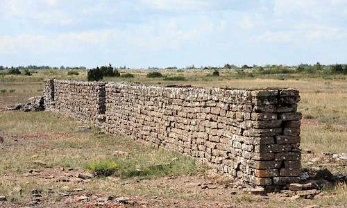 Foto: Stefan Svenaeus