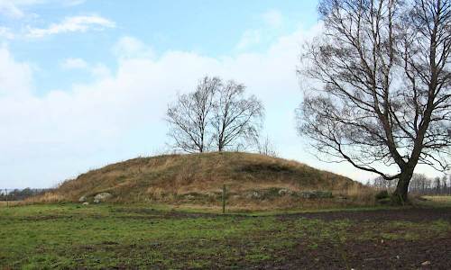 Foto: Stefan Svenaeus