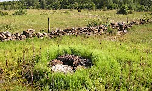Foto: Stefan Svenaeus