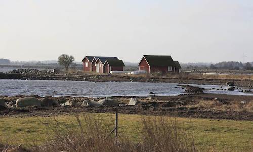 Foto: Stefan Svenaeus