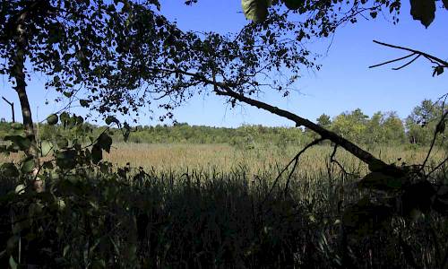 Foto: Stefan Svenaeus
