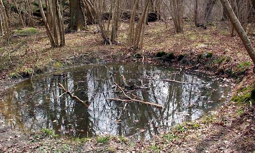 Foto: Stefan Svenaeus