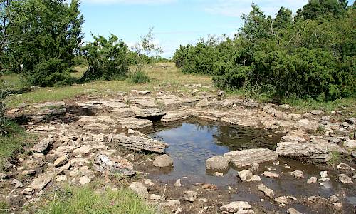 Foto: Stefan Svenaeus Juli 2015