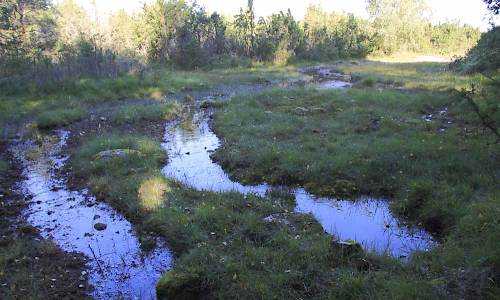 Foto: Stefan Svenaeus