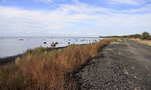 Foto: Stefan Svenaeus