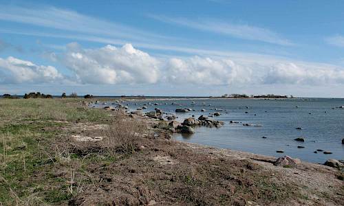 Foto: Stefan Svenaeus 2016