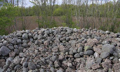 Foto: Stefan Svenaeus