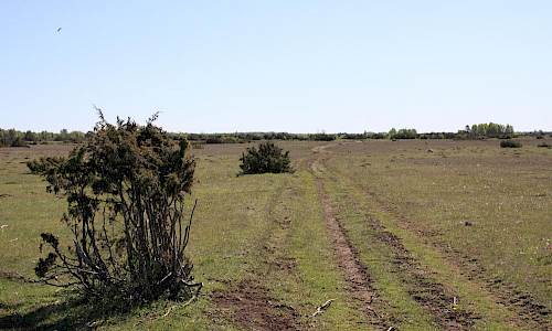 Foto: Stefan Svenaeus