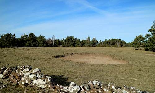 Foto: Stefan Svenaeus