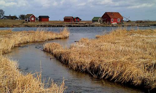 Utloppet. Foto Stefan Svenaeus 2017