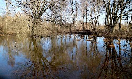 Foto: Stefan Svenaeus 2017