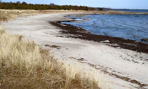 Foto: Stefan Svenaeus 2017