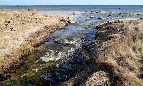 Foto: Stefan Svenaeus 2017