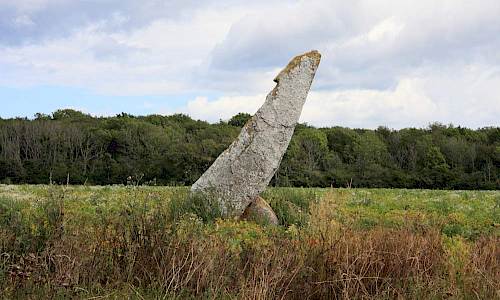 Originalstenen. Foto: Stefan Svenaeus 2013