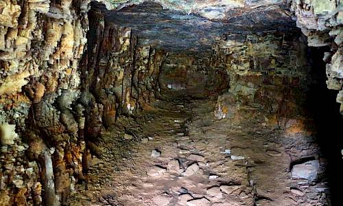 Foto: Stefan Svenaeus 2017