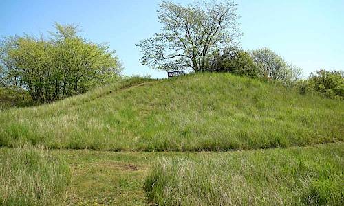 Foto: Stefan Svenaeus 2017