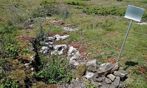 Foto: Stefan Svenaeus 2017