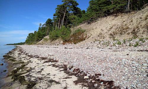 Foto: Stefan Svenaeus