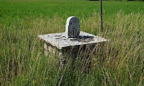 Foto: Stefan Svenaeus 2017