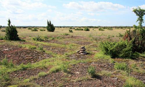 Vandra över Stora alvaret