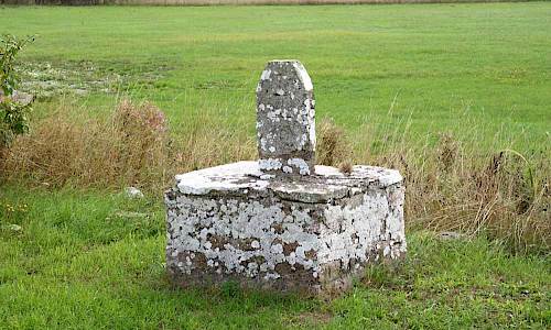 Foto: Stefan Svenaeus 2018
