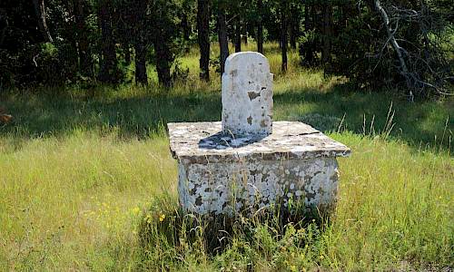 Foto: Stefan Svenaeus 2017