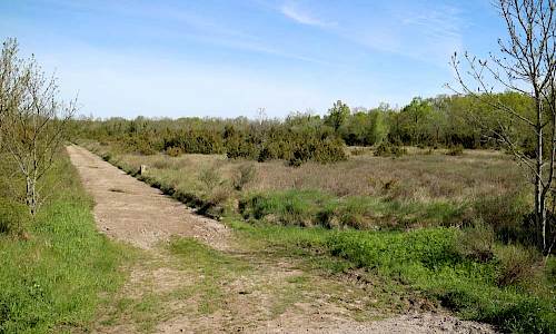 Foto: Stefan Svenaeus 2017