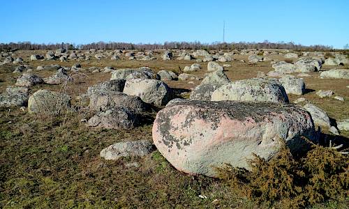 Foto: Stefan Svenaeus 2019