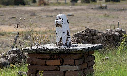 Foto: Stefan Svenaeus 2019