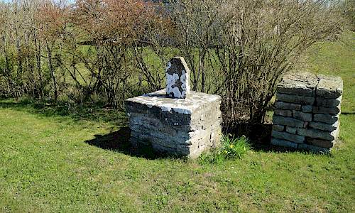 Foto: Stefan Svenaeus 2019