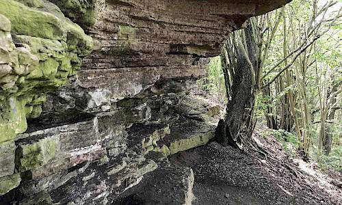 Foto: Stefan Svenaeus 2019