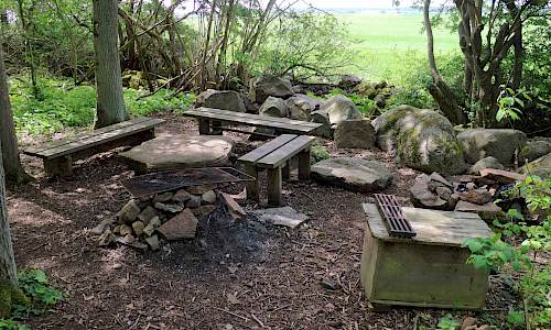 Foto: Stefan Svenaeus 2019