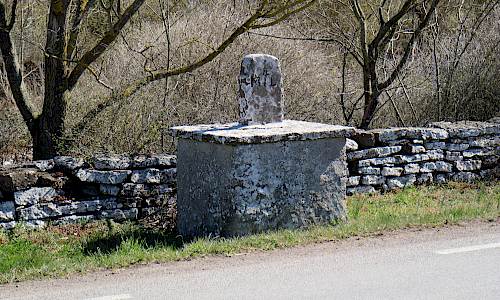 Foto: Stefan Svenaeus 2019
