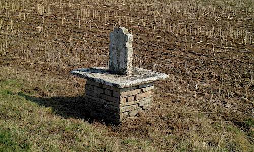 Foto: Stefan Svenaeus 2018