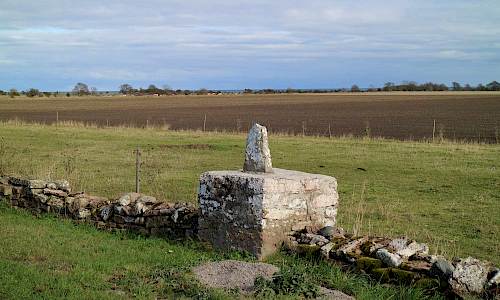 Foto: Stefan Svenaeus 2019