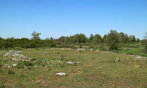 Foto: Stefan Svenaeus 2019