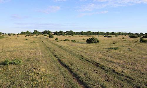 Frösslunda på avstånd Foto: Stefan Svenaeus