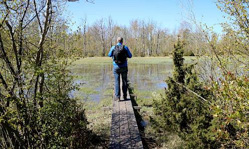 Foto: Stefan Svenaeus