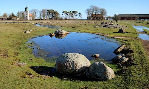 Foto: Stefan Svenaeus 2020
