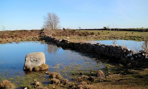 Foto: Stefan Svenaeus februari 2020