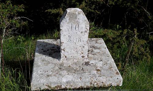 Foto: Stefan Svenaeus 2020