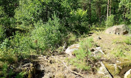 Foto: Stefan Svenaeus 2020